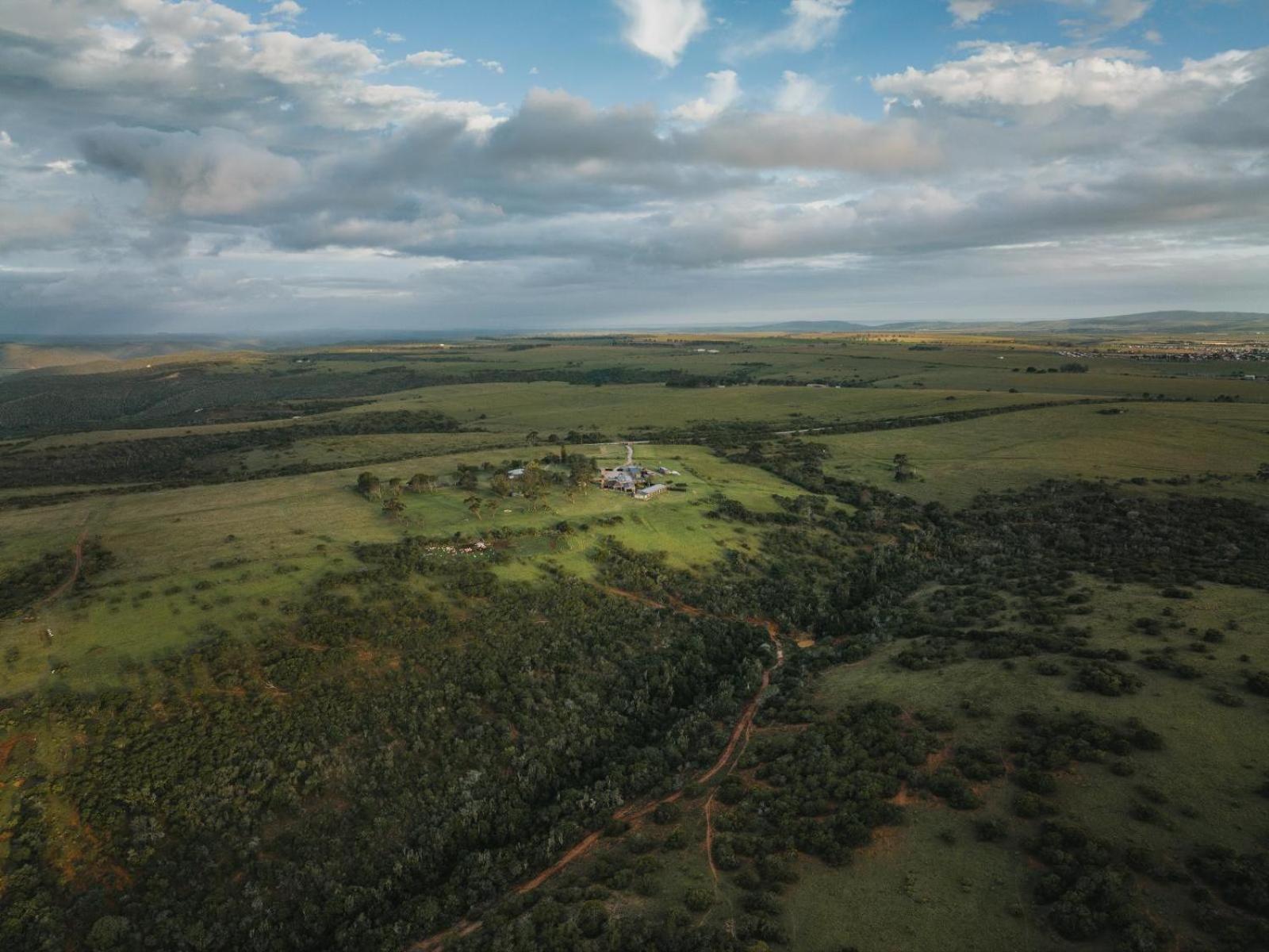 Umbono Private Game Lodge Alexandria  Extérieur photo